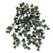 Mini Green & White English Ivy Bush with Silk Foliage, Floral Home by Artificial Flowers